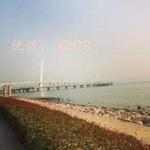 ƻ