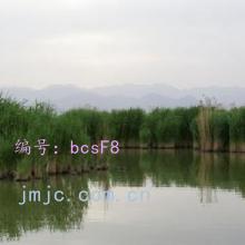 ˳