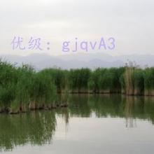 ĩ
