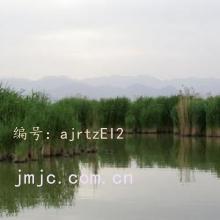 ˳
