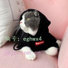 Ҿ