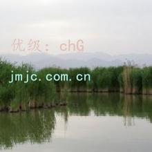 ĩ