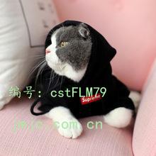 㶫ʡ