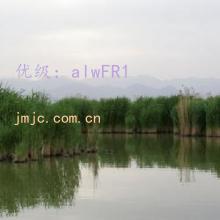 ѧУ
