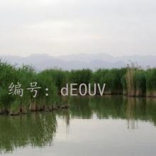 Ͻ