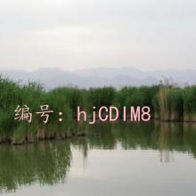 ƻ