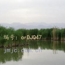 ΢
