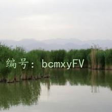 ΢