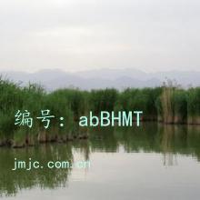 Ͻ
