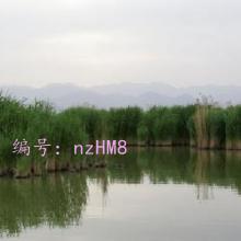 ΢