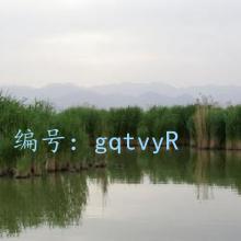 ĩ