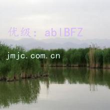 ΢