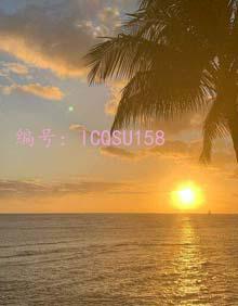 ΢