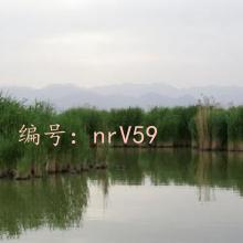 ˳
