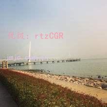 ƻ