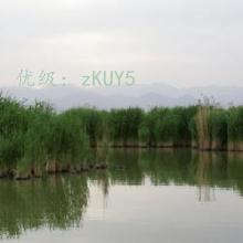 Ŀ